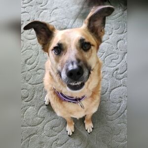 Quality apparel needing new homes!